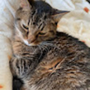 Meet your Posher, Cody